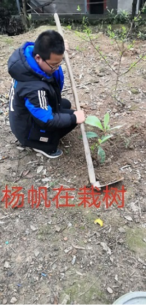 衡陽市蒸湘區(qū)仁愛實驗中學|衡陽全日制|全寄宿|全封閉|半月假制初級中學